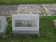 Safier-Rose-A