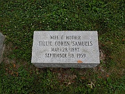 Samuels-Tilly-Cohen