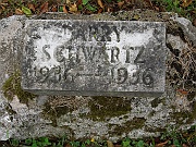 Schwartz-Larry
