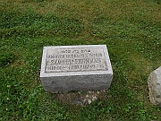 Steinman-Samuel