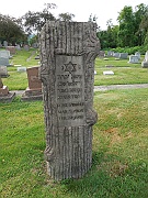 Swartz-Rose