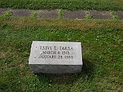 Taksa-Tsivi-T