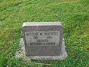 Wachtel-Milton-M-2