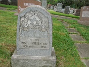 Wiesenthal-Rose-L