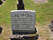 BERKOVICH-Marion
