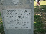 BLAU-Rose