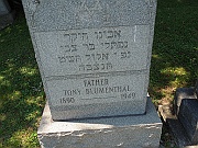 BLUMENTHAL-Tony