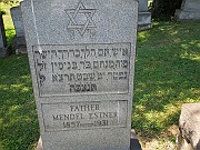 ESTNER-Mendel