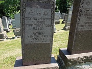 FENSTER-Yehuda-Leib