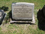 HERMAN-Bertha