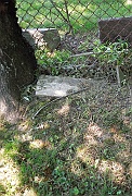 ILLEGIBLE35