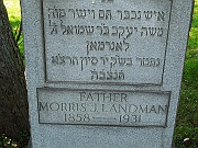 LANDMAN-Morris-J