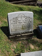 LEBOWITZ-Gizella