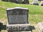 MORITZ-Rose