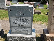 MOSKOVITZ-Molly