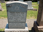 MOSKOVITZ-Sydney