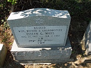 MOSS-Evelyn-G