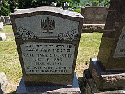 OLENDER-Kate-Harris