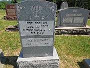 SELKOWITZ-Rae