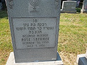 SHERMER-Rose