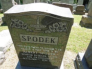 SPODEK-Albert