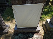 UNVEILING