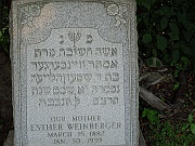 WEINBERGER-Esther