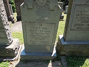 ZWIBEL-Tillie