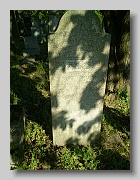 P5230134