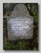 P5230296
