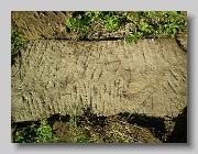 P5230810
