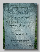 P5230835