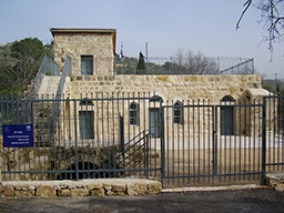 Yellin House  
