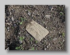 Munkacs-Cemetery-stone-104