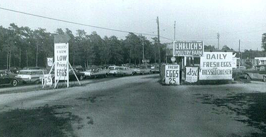 Farm
                      Crossroads 1960