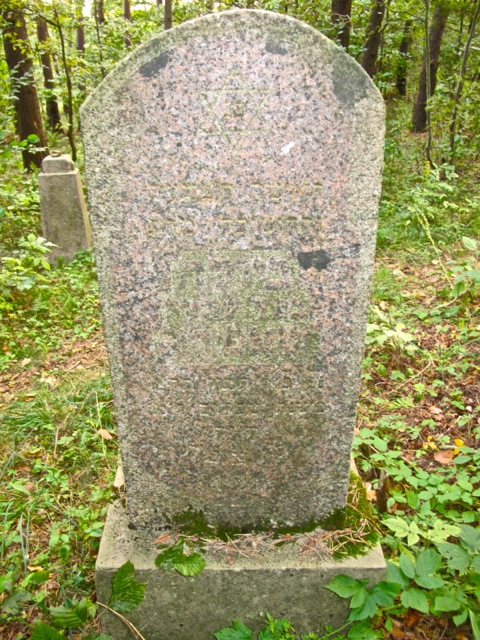 Beila Szapiro