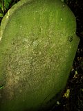 Nelipyno-Cemetery-stone-018