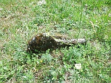 Neresnytsya-tombstone-150