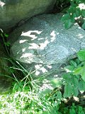 Novoselytsya-Taracujfalu-tstone-041