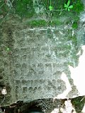 Novoselytsya-Taracujfalu-tstone-053