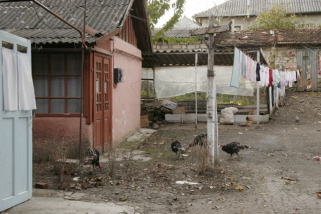 House Area 2