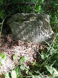 Osiy-tstone-56
