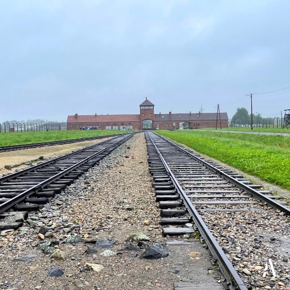 auschwitz;