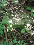 Perechyn-tombstone-83