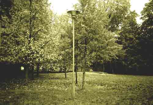 cemetery