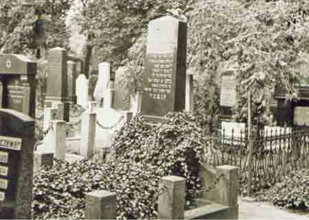 gravekronheim