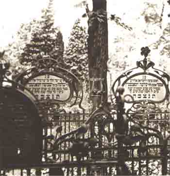 Simonsteinhebr