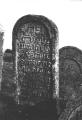 img007.jpeg.small.jpeg