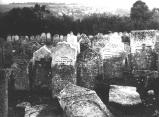 img010.jpeg.small.jpeg