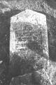 img019.jpeg.small.jpeg